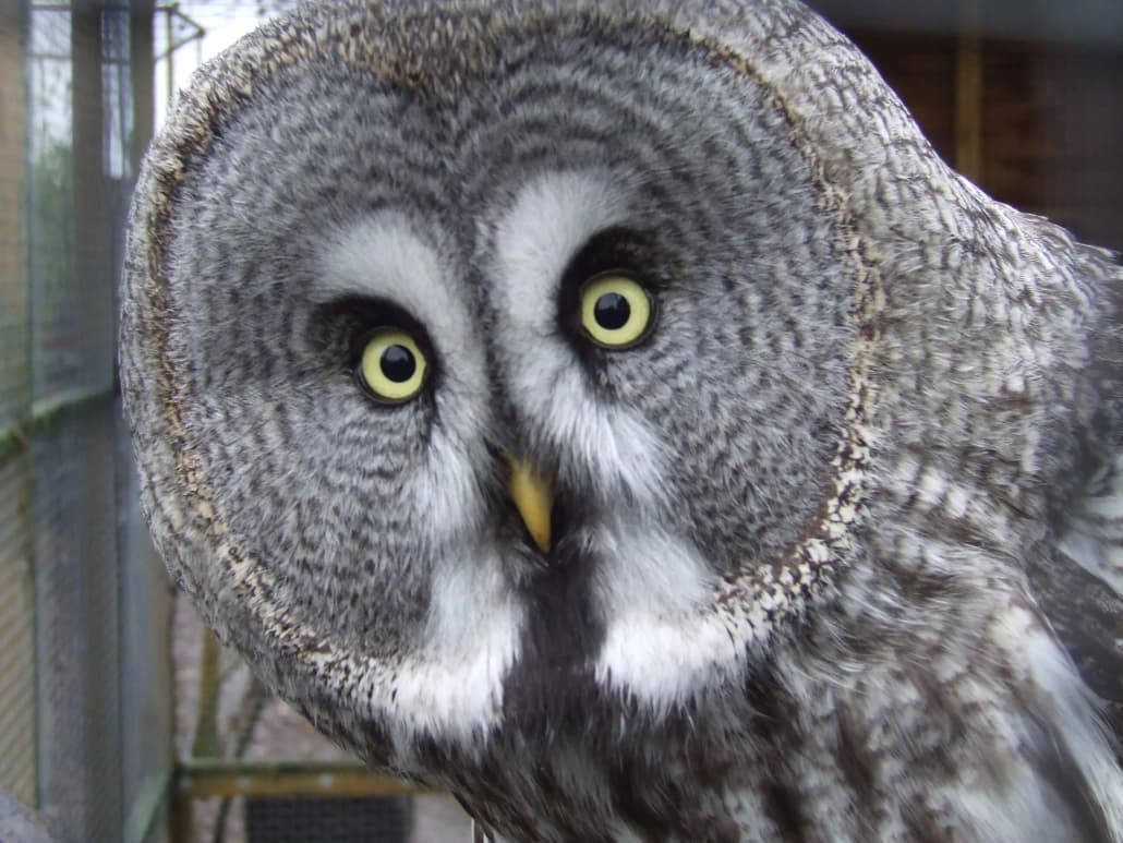 Axe Wildlife park